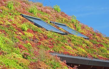 New Broughton living roof systems