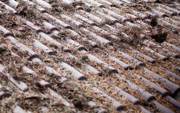 New Broughton roof cleaning companies